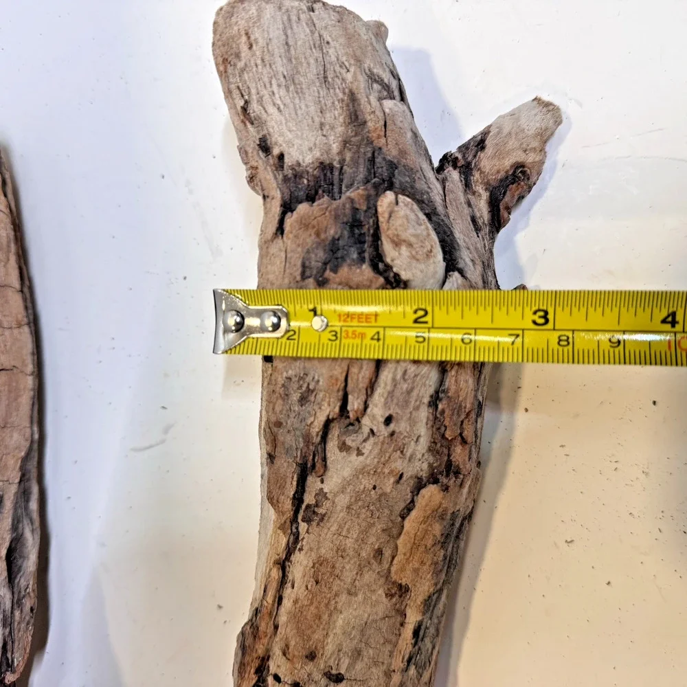 Set of 2 Cali. Coast Wavy Natural Driftwood Beach Burlwood 1.10 Lbs Terrarium